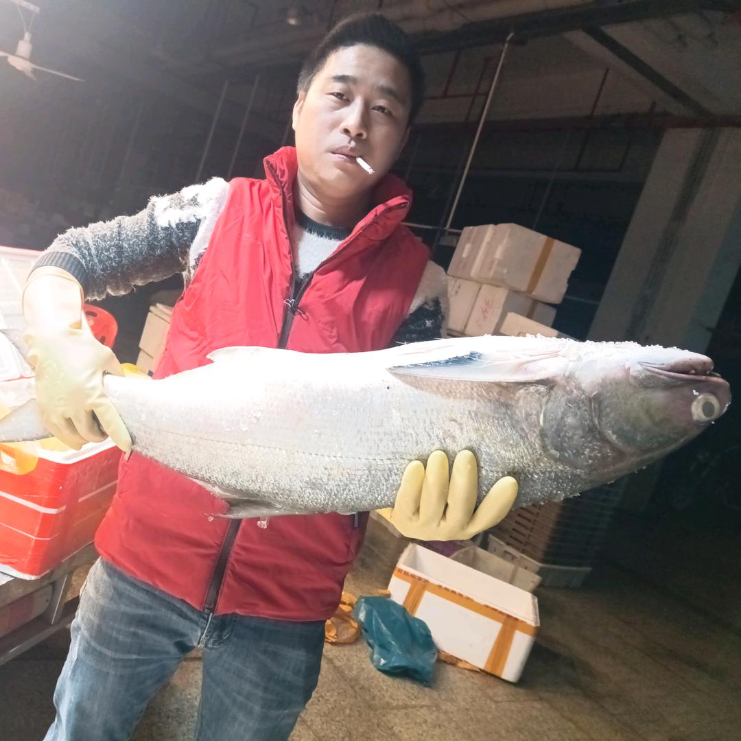 冰鲜水产批发代销