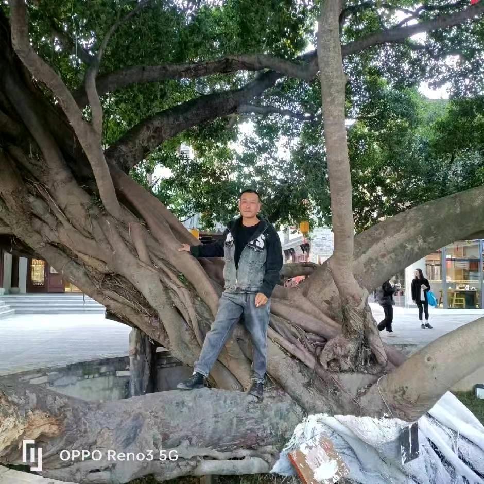温州伊利