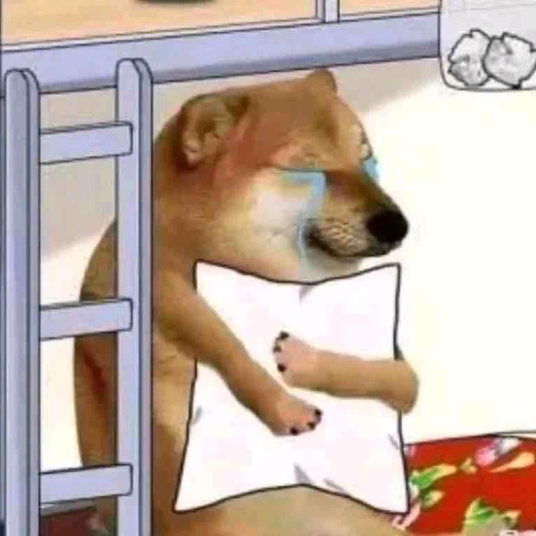 蛋蛋吃不胖❤️