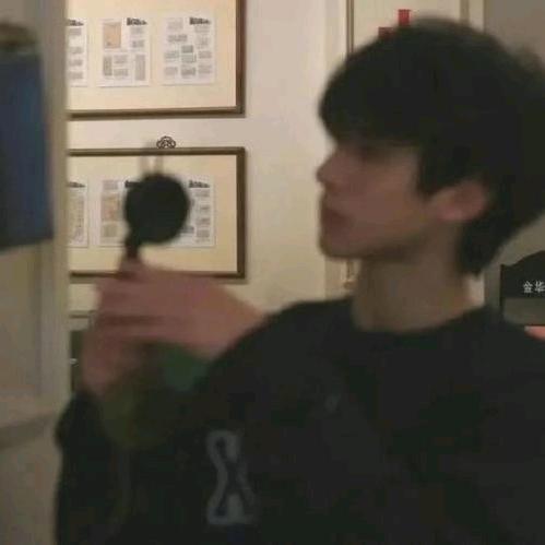 东北陈冠希