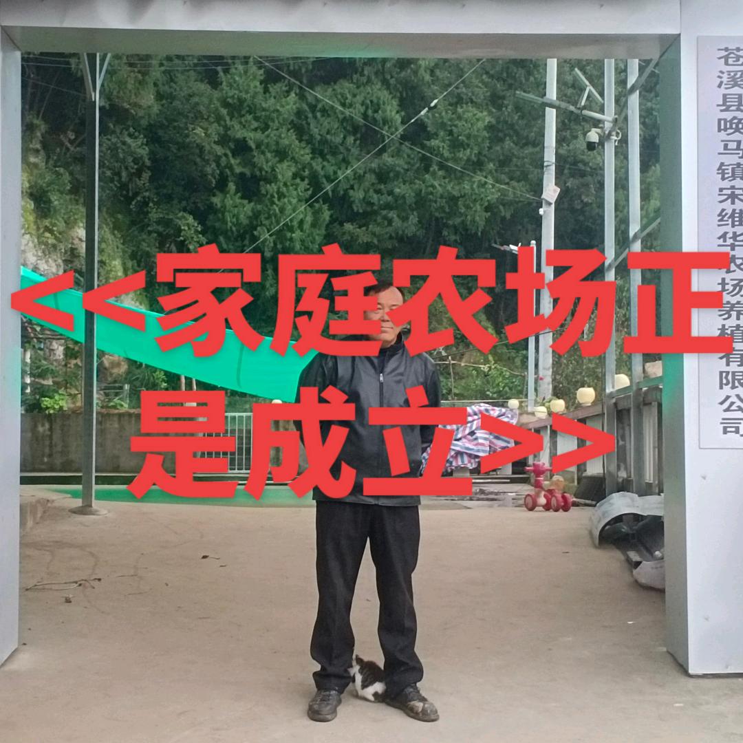 A1四川第一大网红华哥早上五点半开