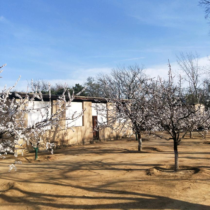 惠风和畅
