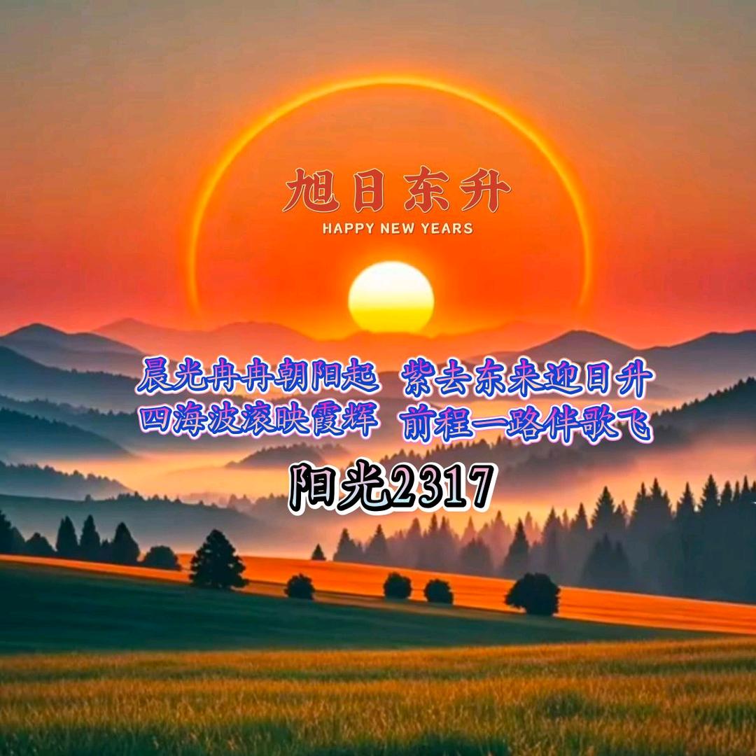 阳光2317