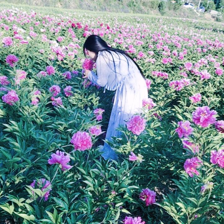李菊梅