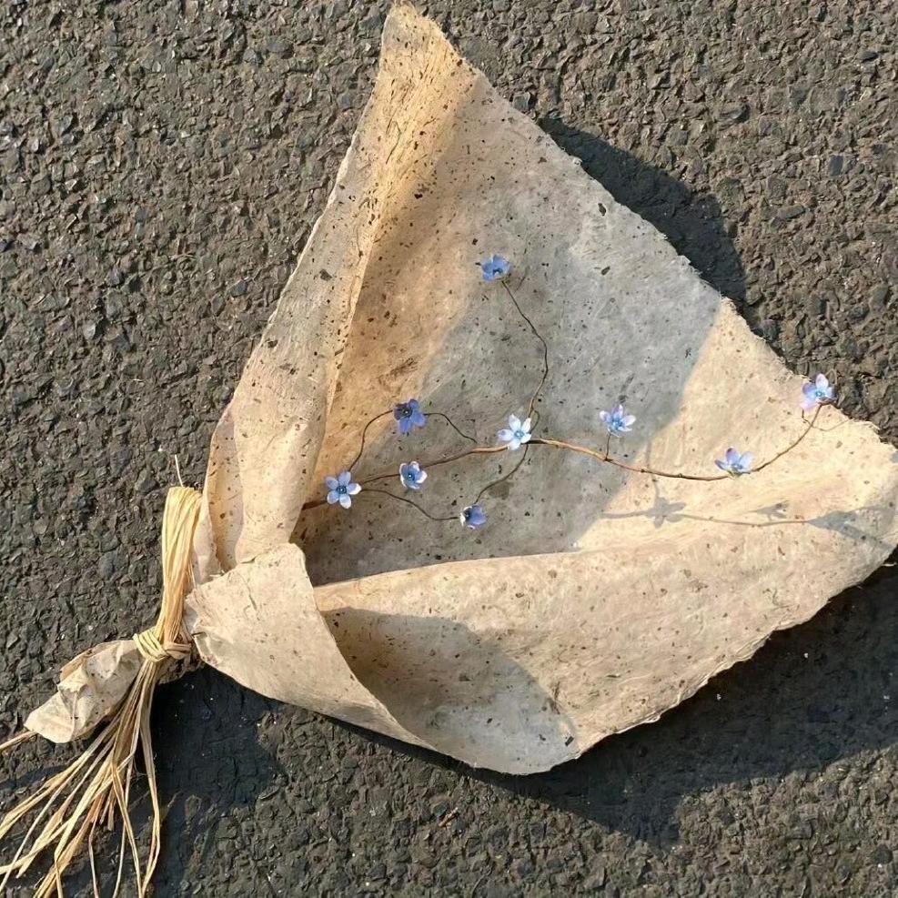 柠檬水蜜桃
