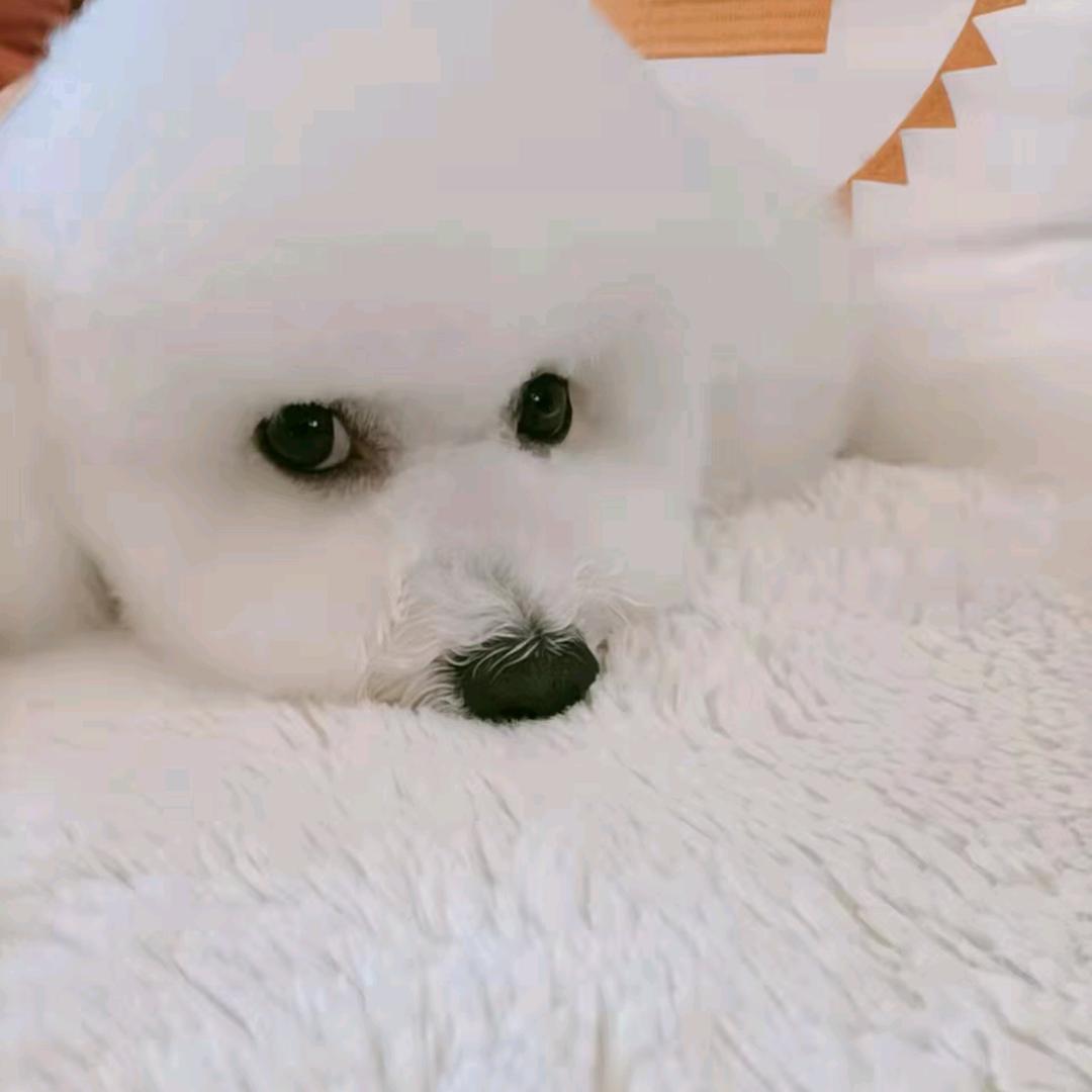 嘿嘿😁