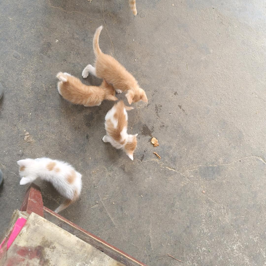 想做 做成 做到 成功