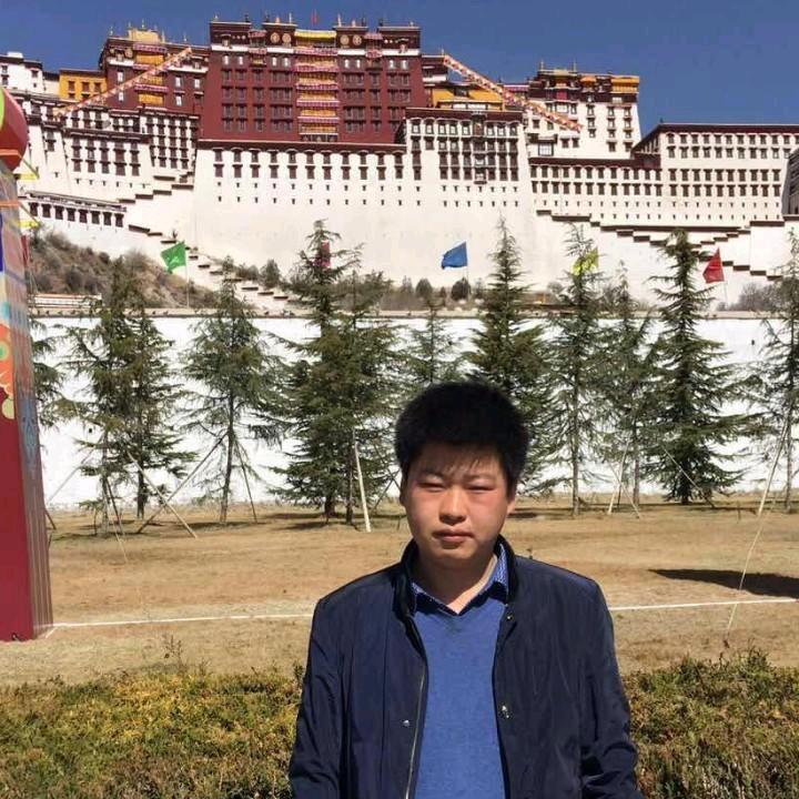 绿城林仙鹤