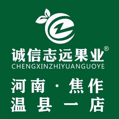 温县古温大街诚信志远~赵雷