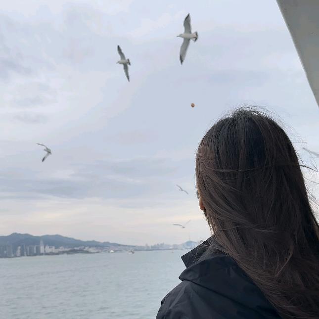 小何同学爱吃肉