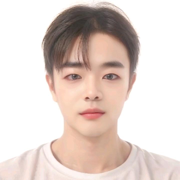 理想