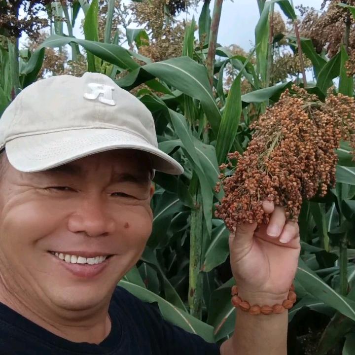 独狼