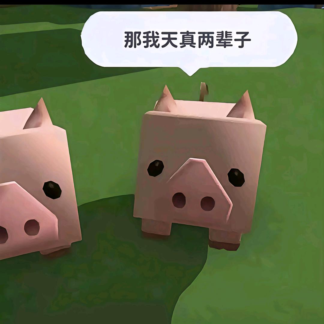 化佛贡茶