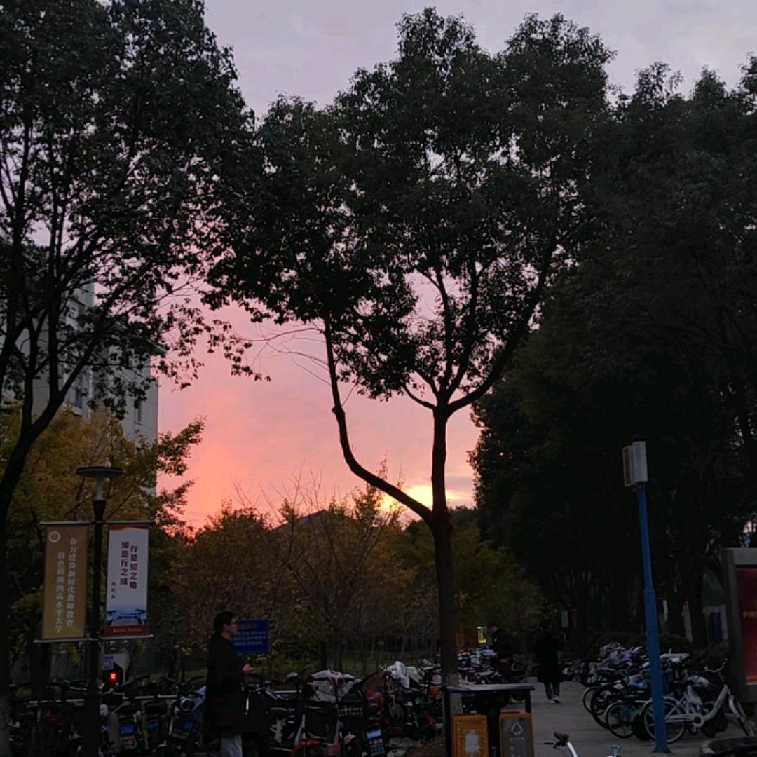 清珺头像