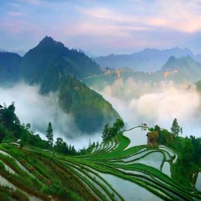 爱你永久