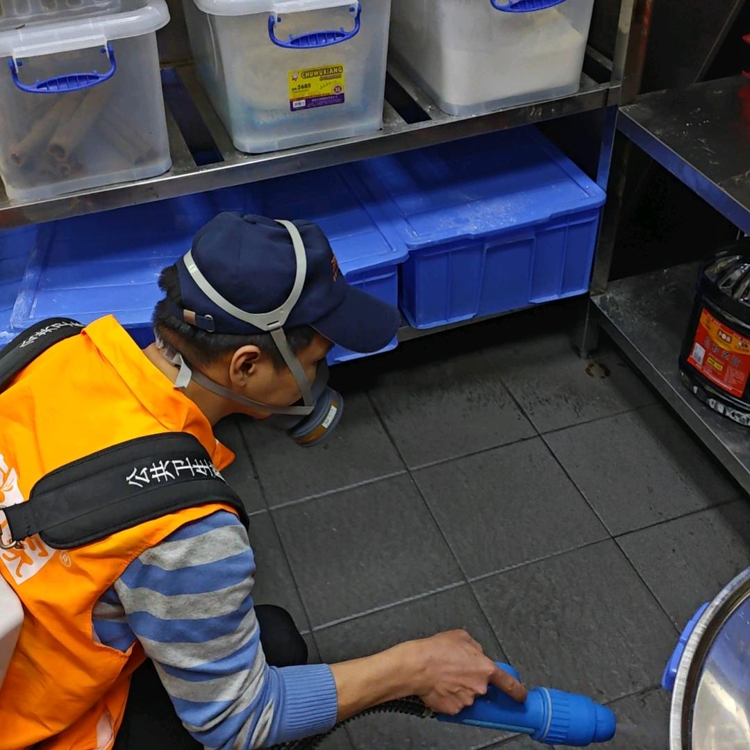 除甲醛厂家优选