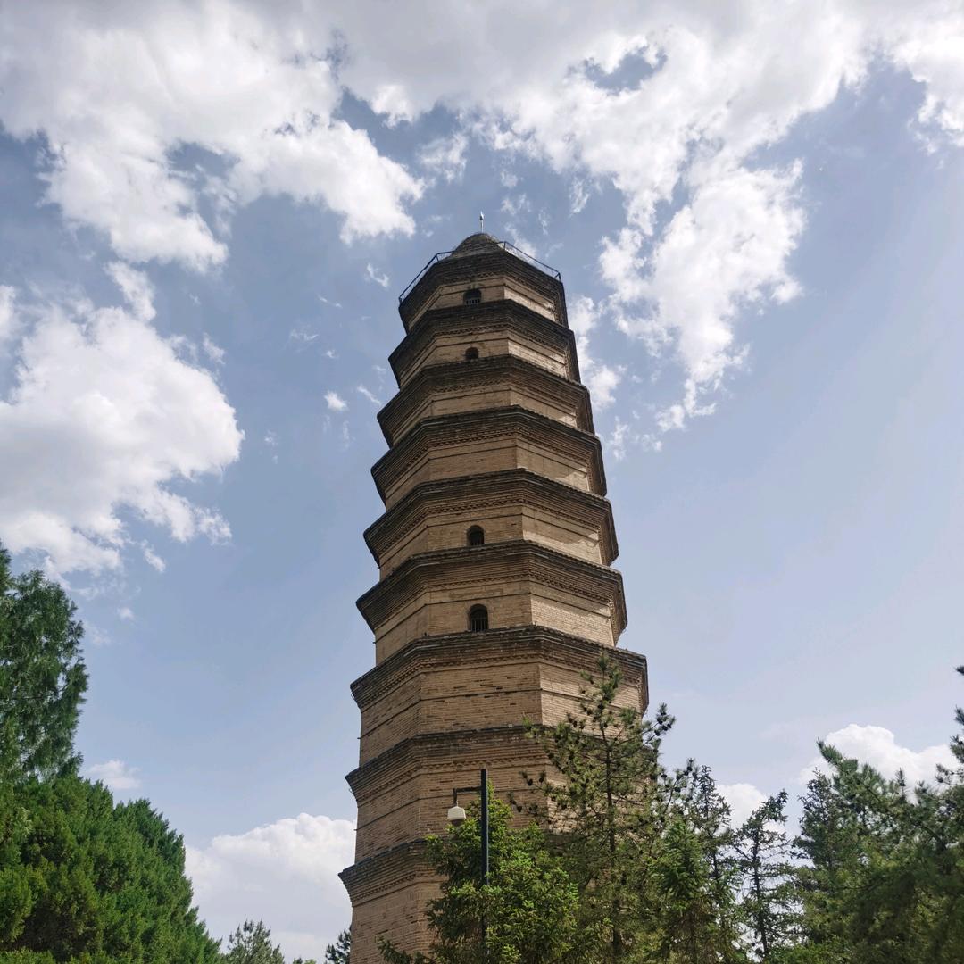 我爱森林狼