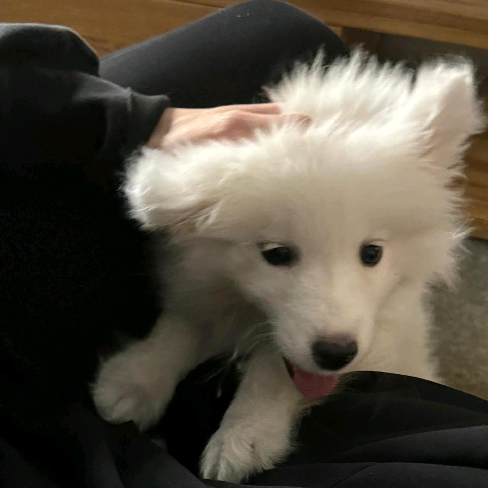 行啊小唐