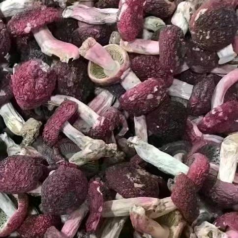 红菇小陈