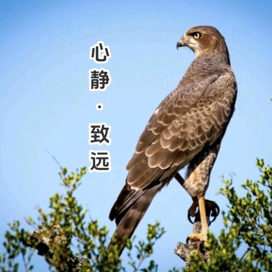 心静·致远❄️胡KEFU