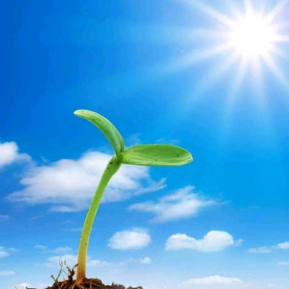 🔥静  羽🔥⁵²⁸