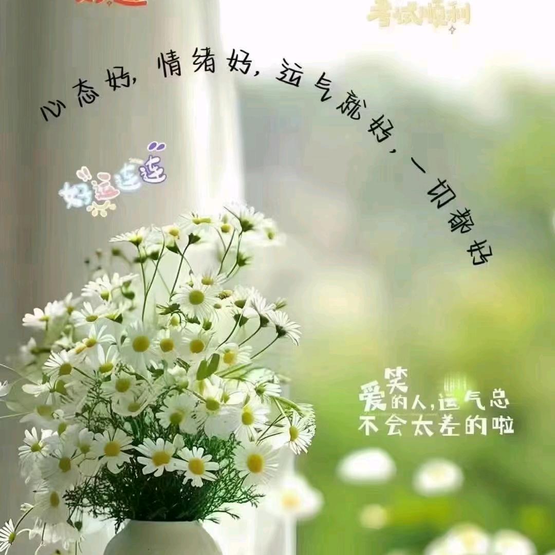 向日葵