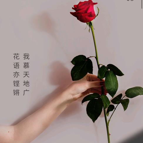 ღ᭄ꦿ࿐小米姐姐᭄ꦿ࿐ღ