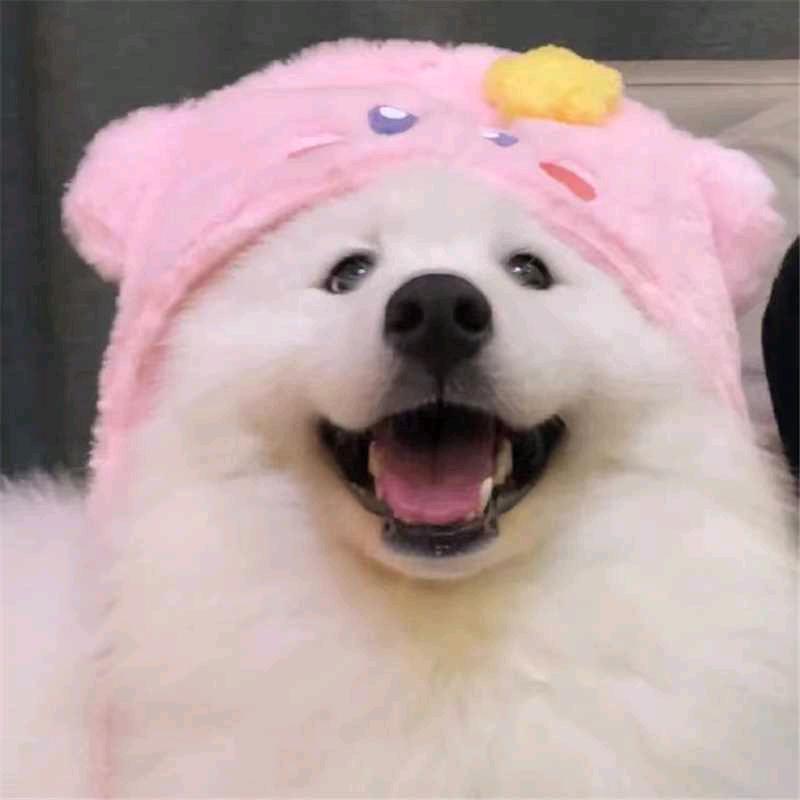 珍实惠优品分享