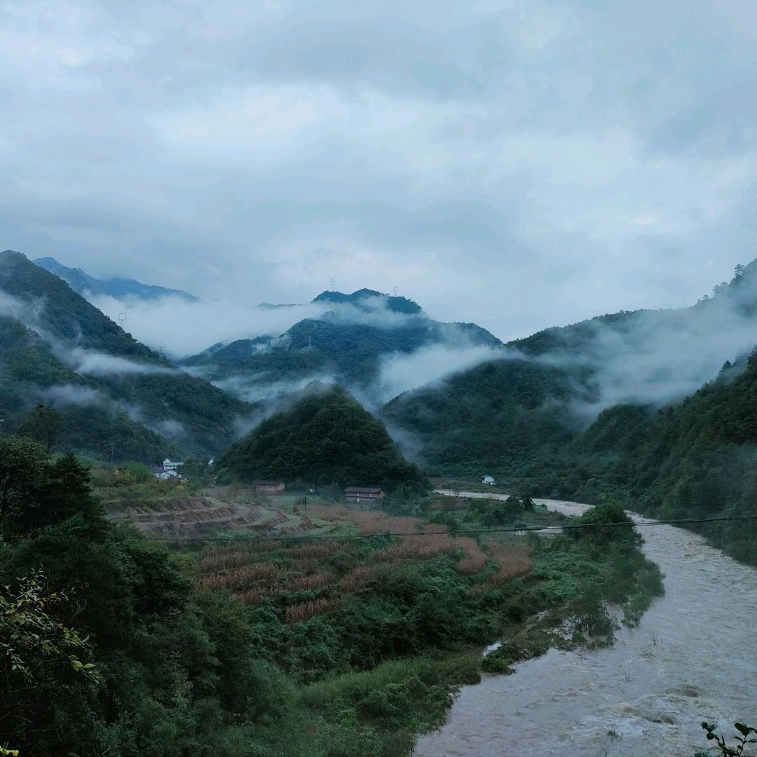秦岭绿都