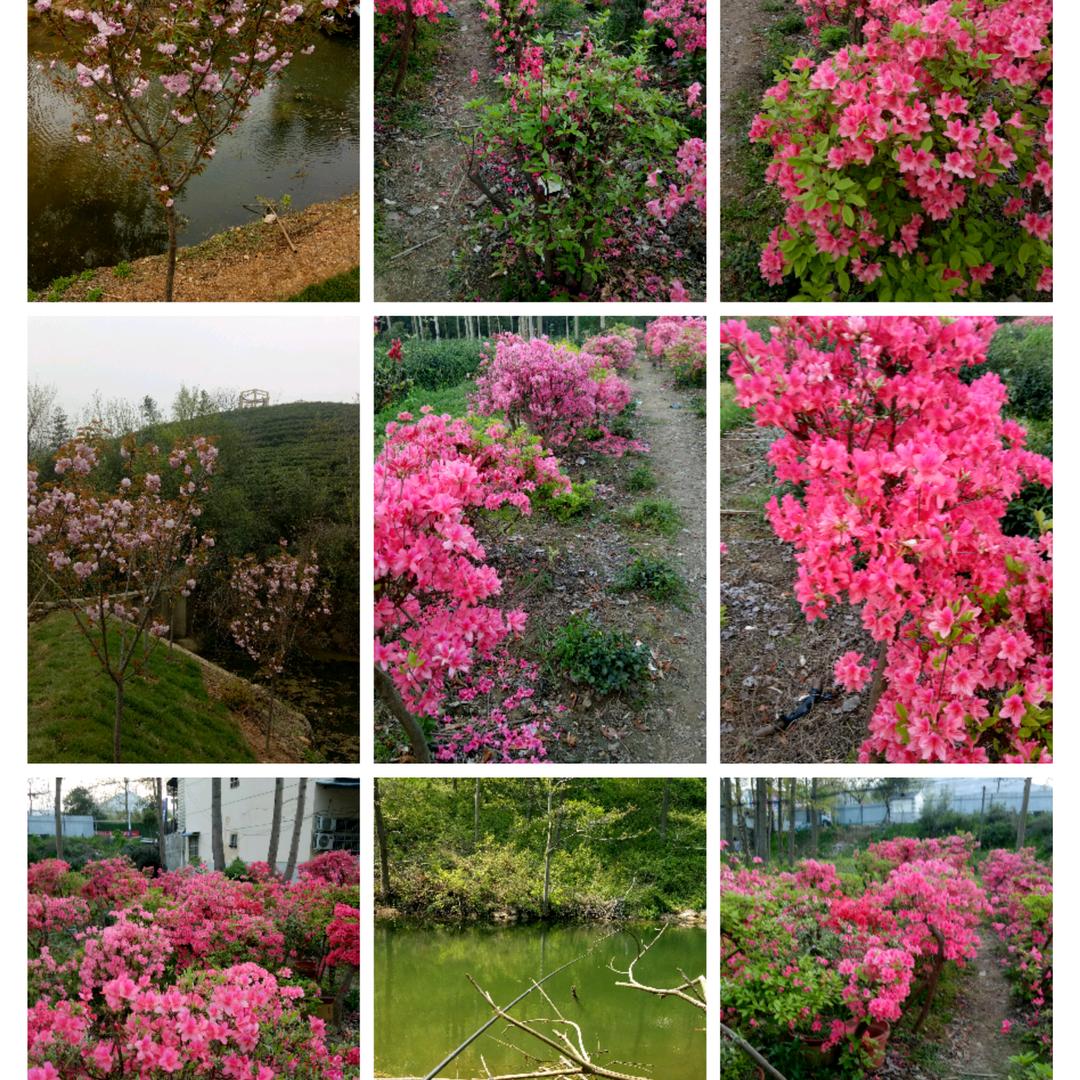 信阳谭家河长青私房菜