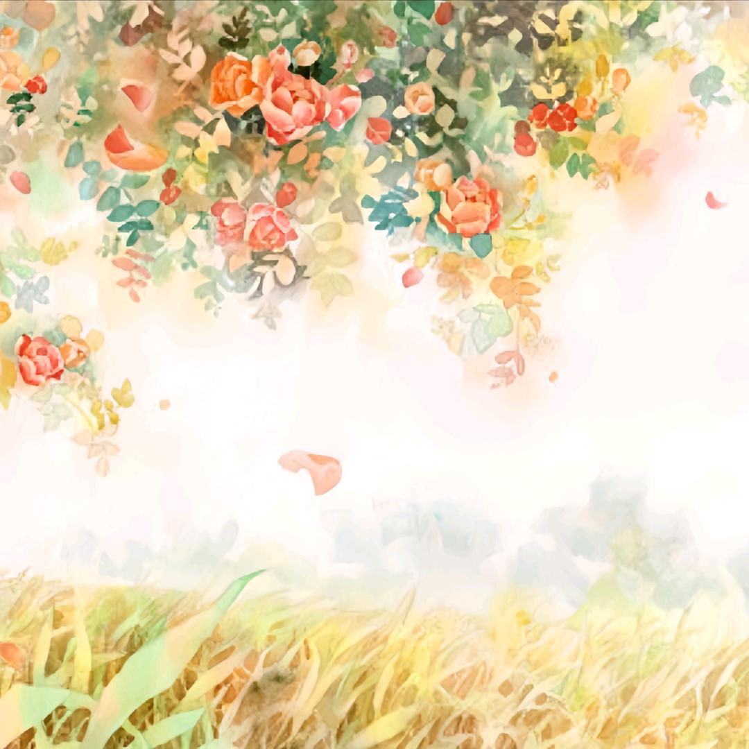 四月·蔷薇