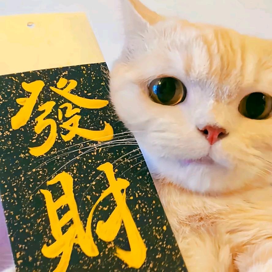 $.林中鸟.