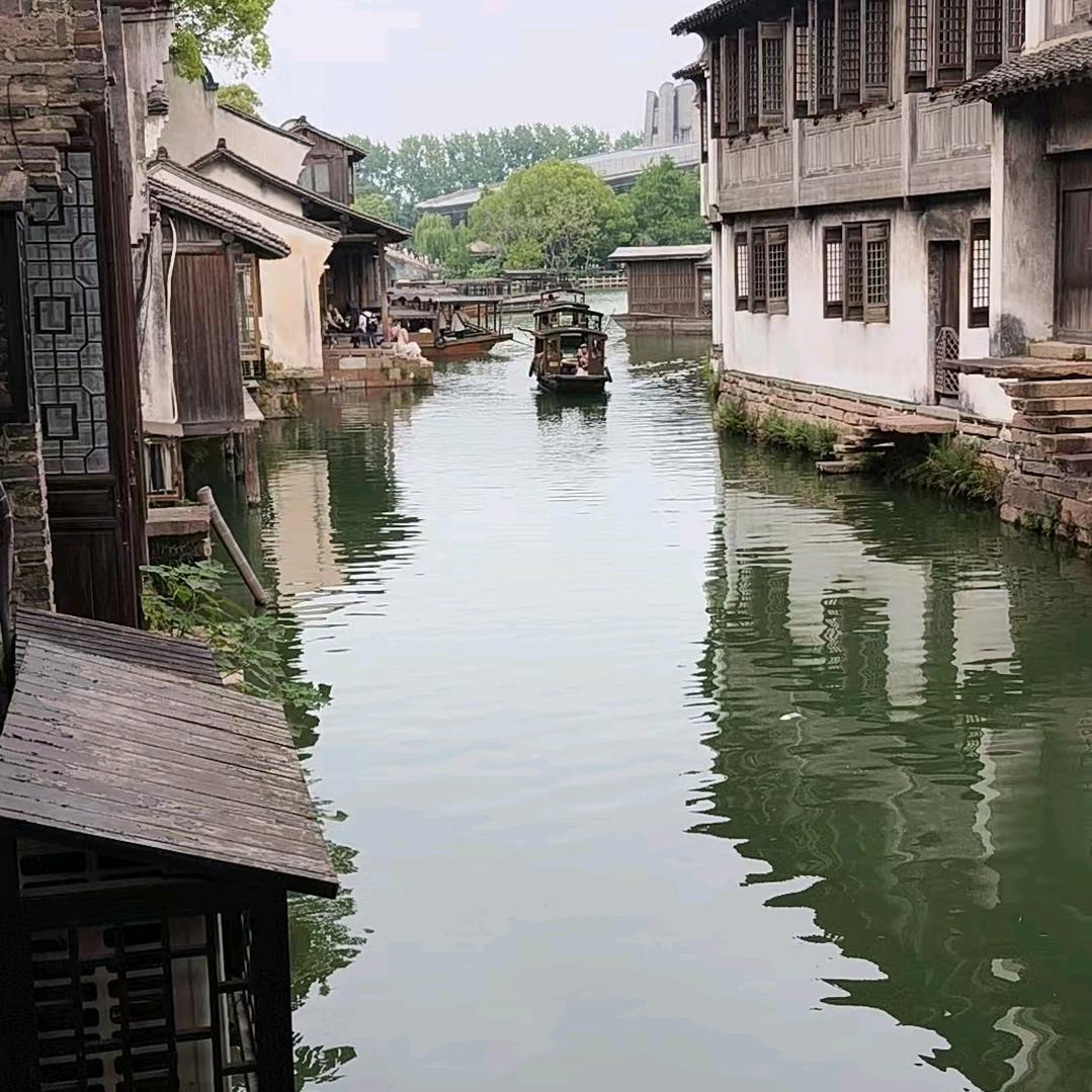 素心若雪