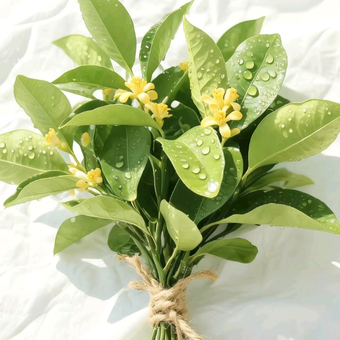 酒店民宿主理人