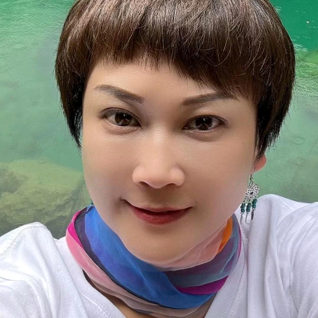 秦腔鸽子