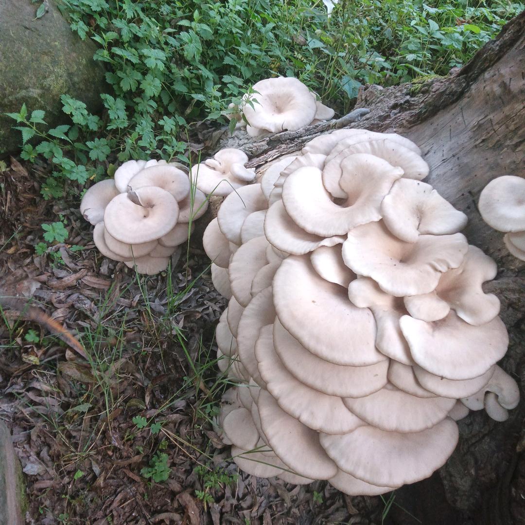 拼了一个春夏秋冬，赢了悔悟人生