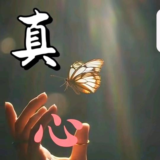 何为情劫