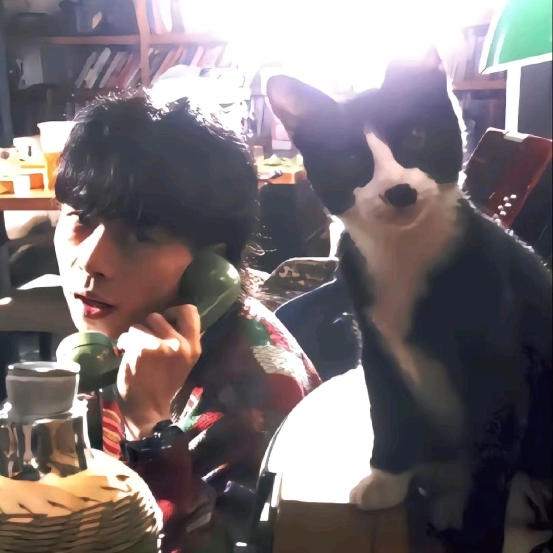 不瘦十斤不改网名