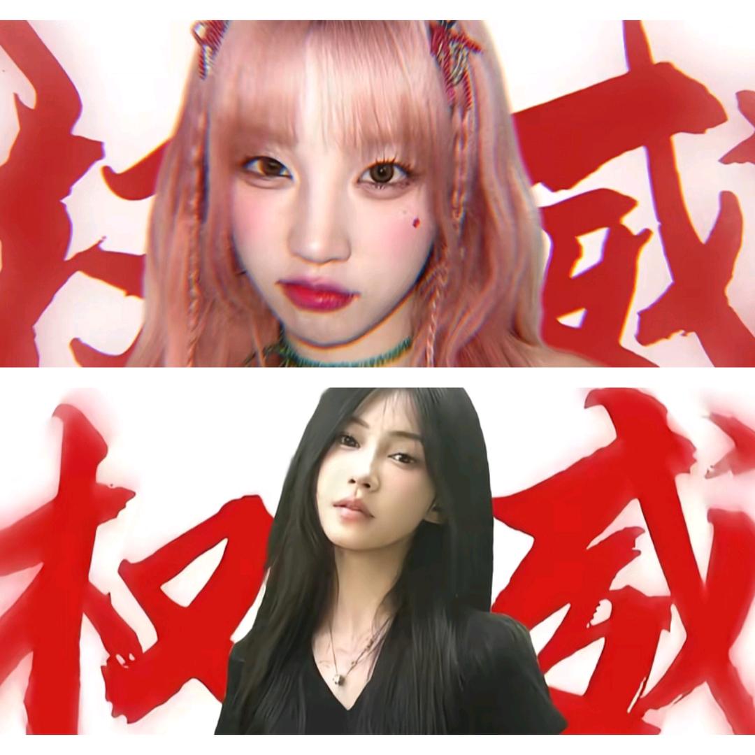曲琦桂圆