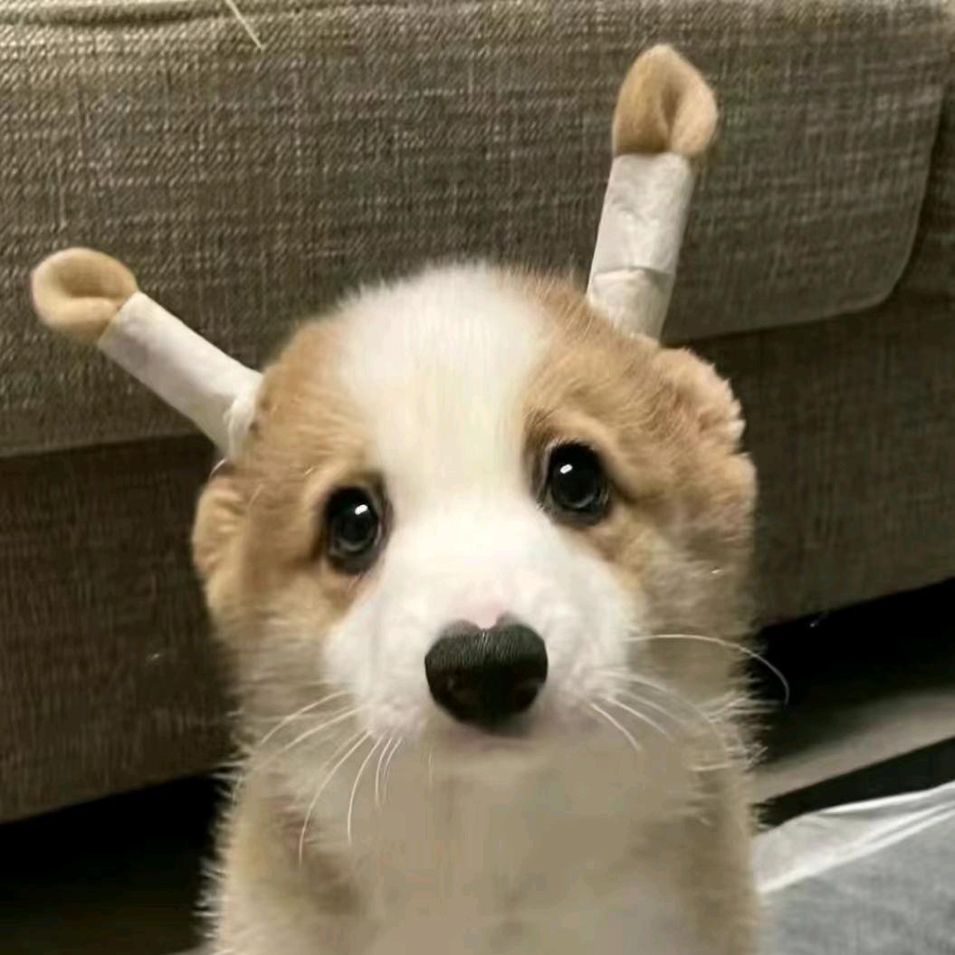 未成年能打🎱吗