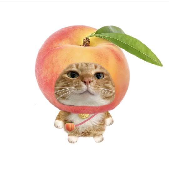 梨子