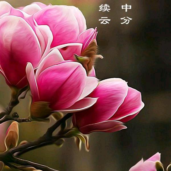 阿拉法