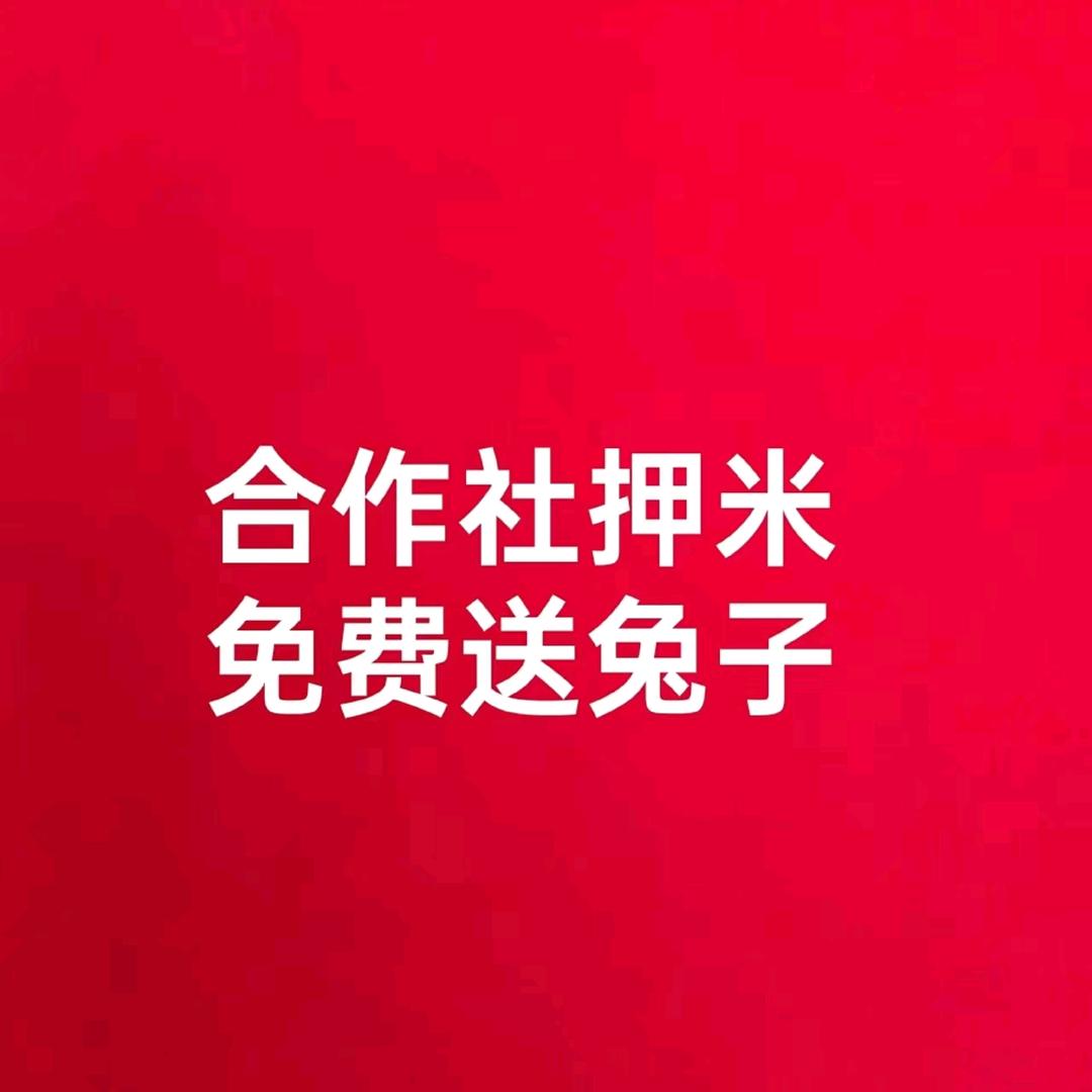 永圆教养兔收兔