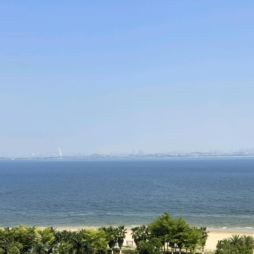 暴走土豆