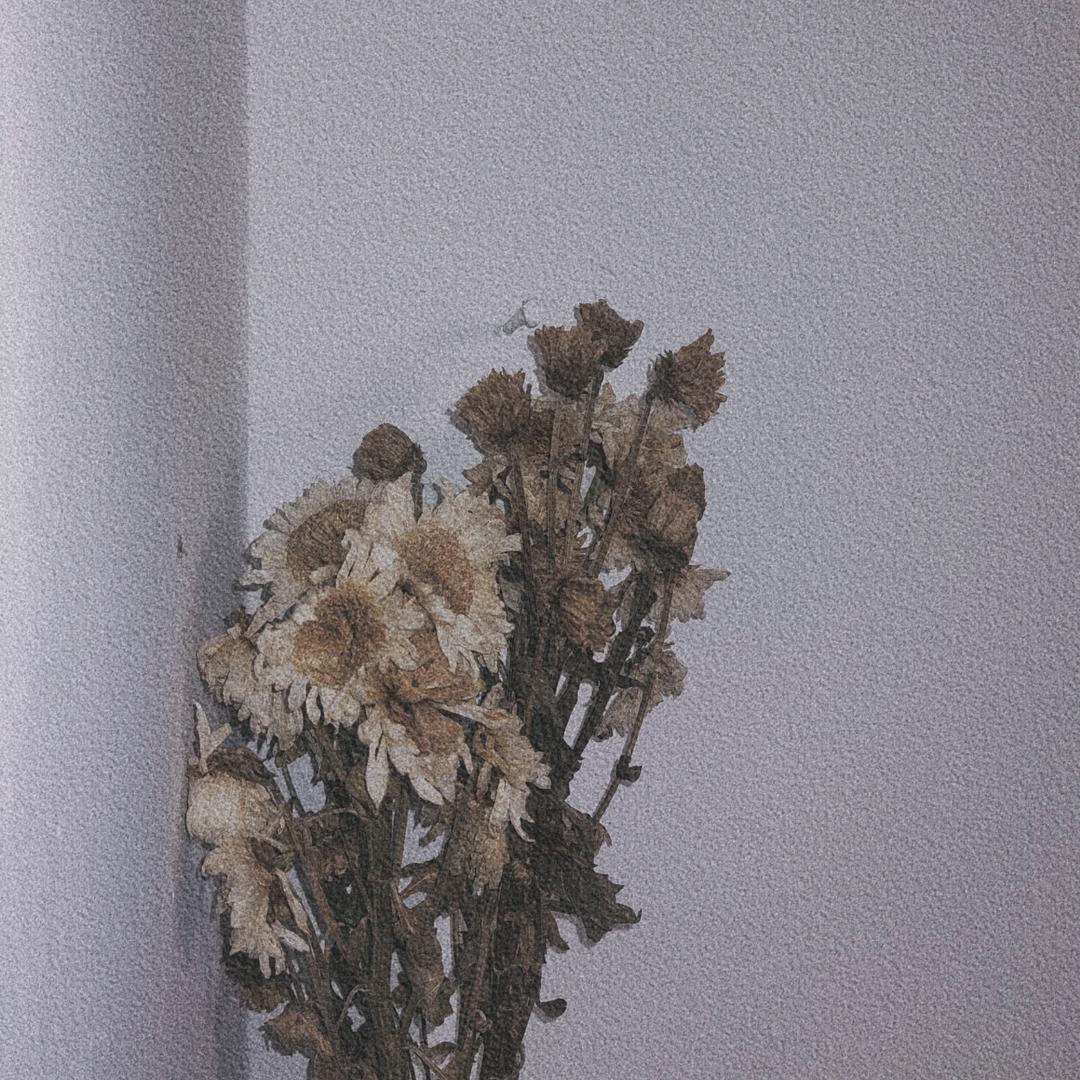 花好月圆○