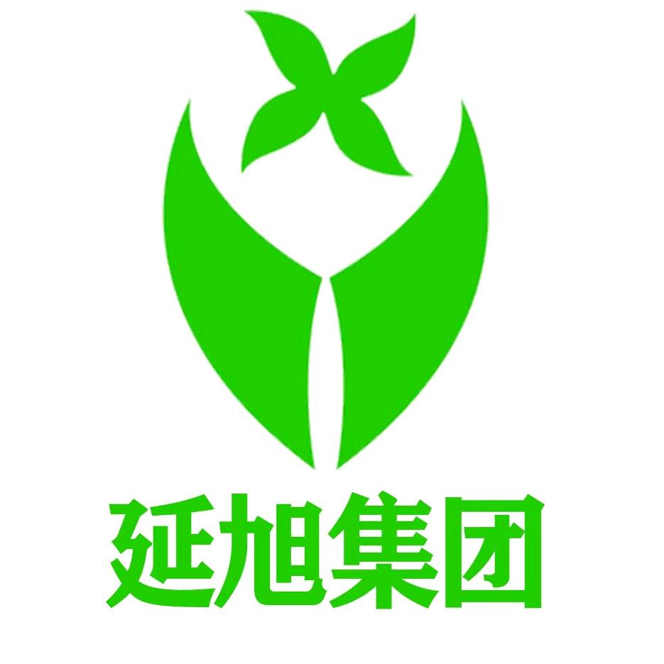 延旭集团