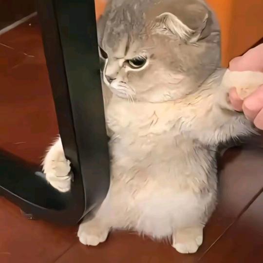 ₅₂₀人生～如戏꧔ꦿ᭄💞1314