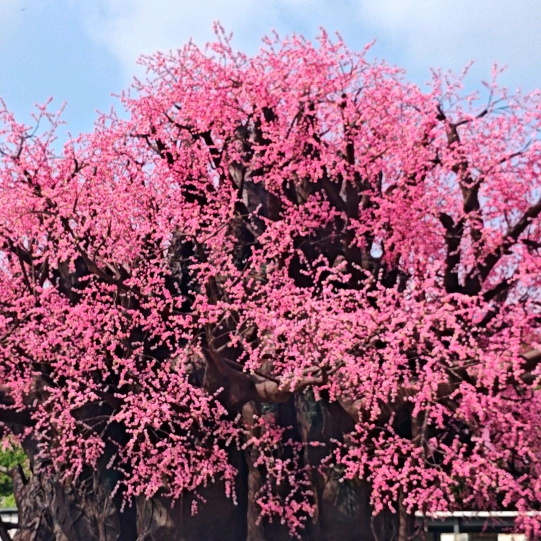 分儿真难混啊