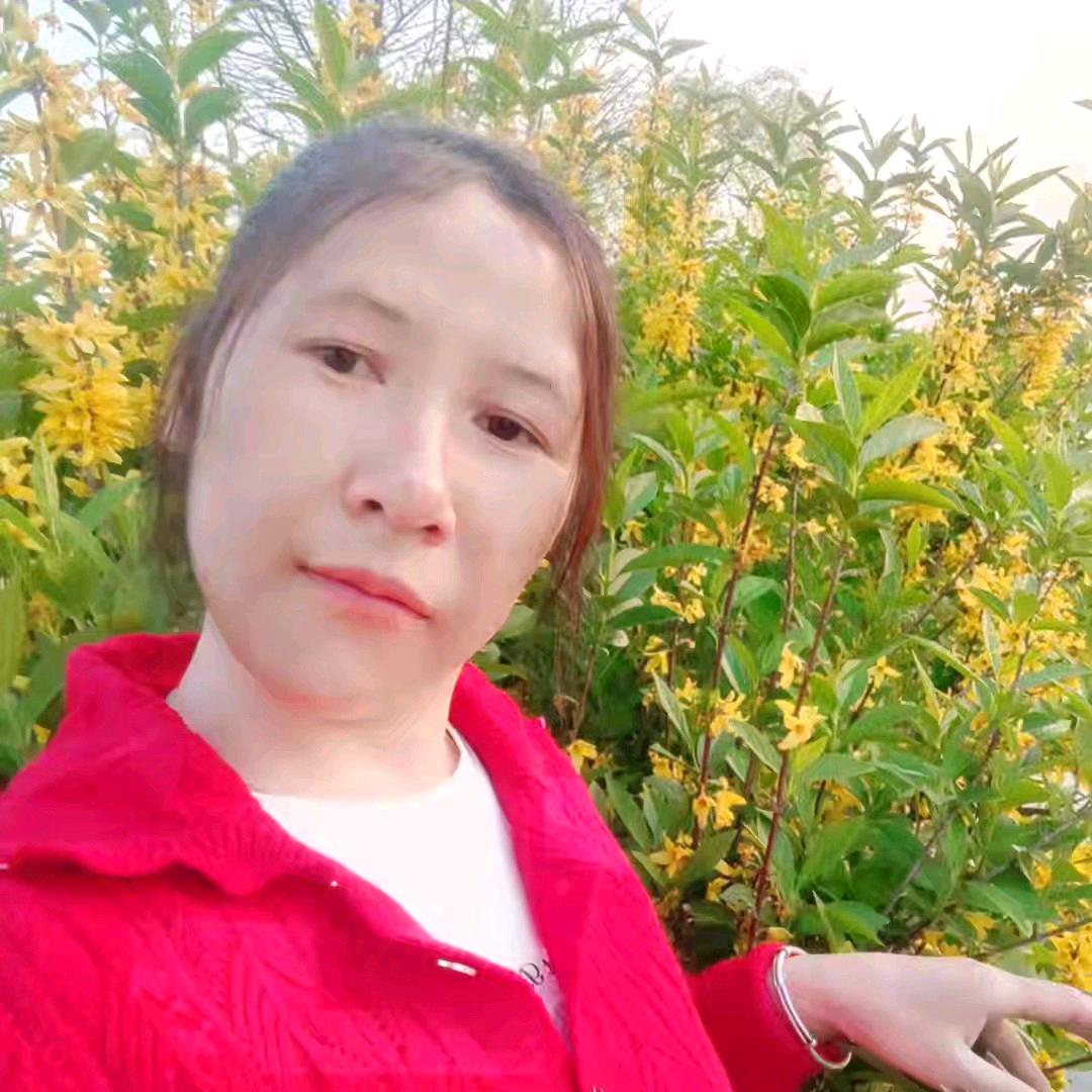 北风吹吹风