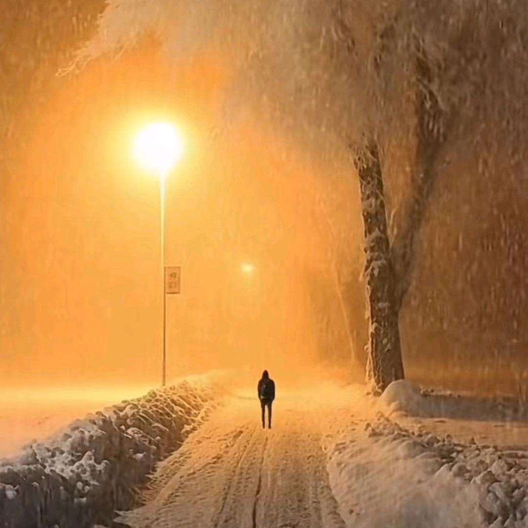 (◍•ᴗ•◍)❤